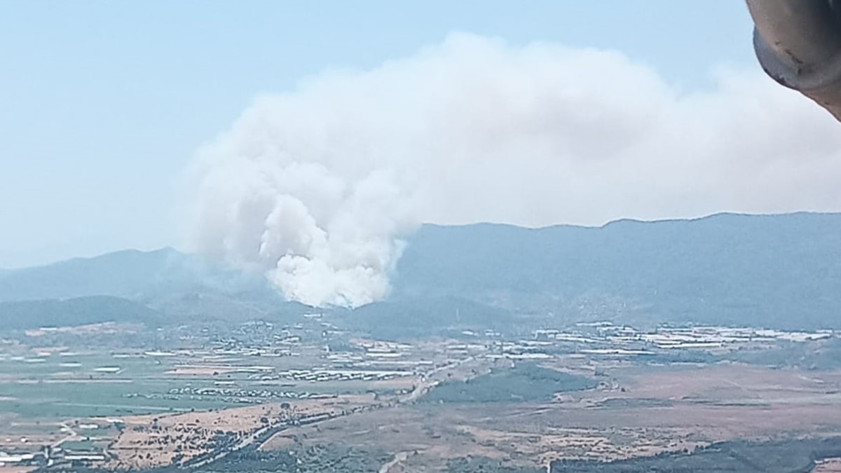 İzmir Menderes'te orman yangını