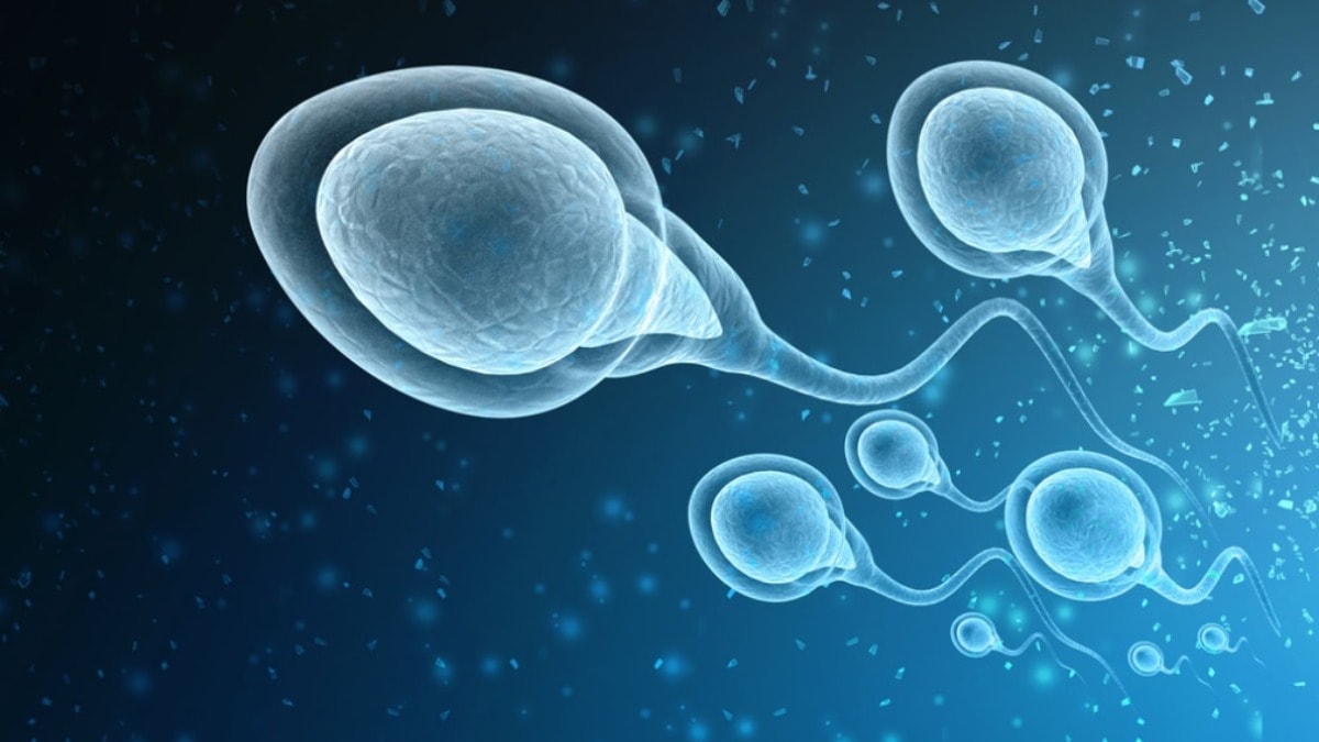 Erdoğan, "Alarm veriyor" demişti"... Bilim insanlarından dikkat çeken doğum araştırması