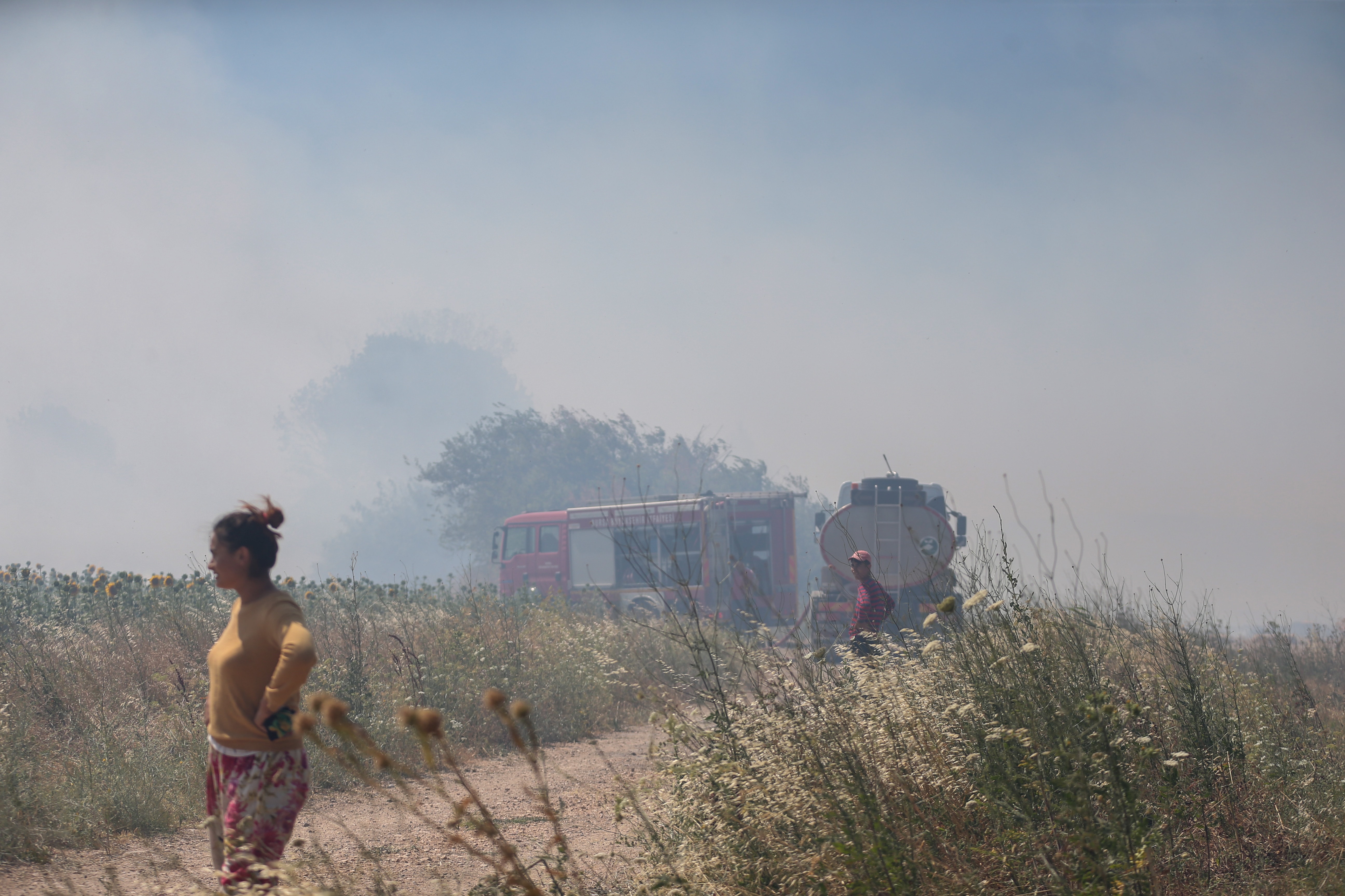 Makilik alanda çıkan yangın kampüsteki ormana sıçradı