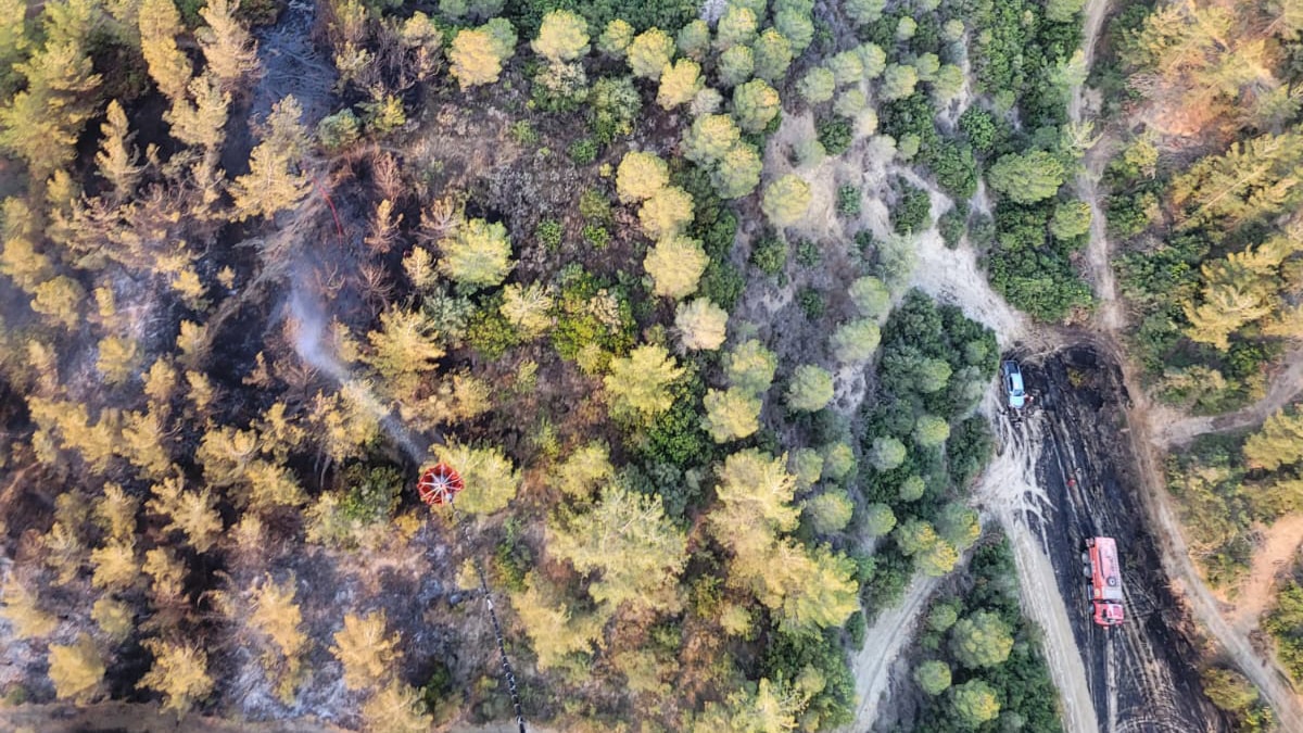 Adana'da orman yangını