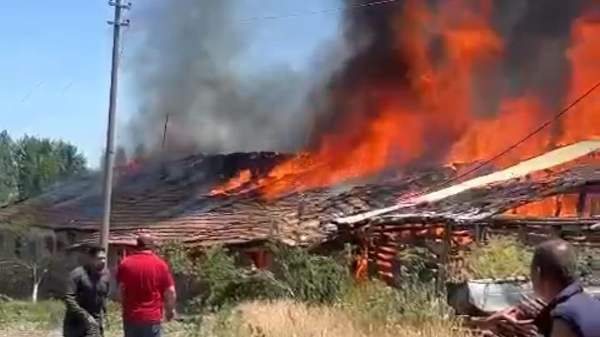 Ahır yangınında 12 büyükbaş öldü