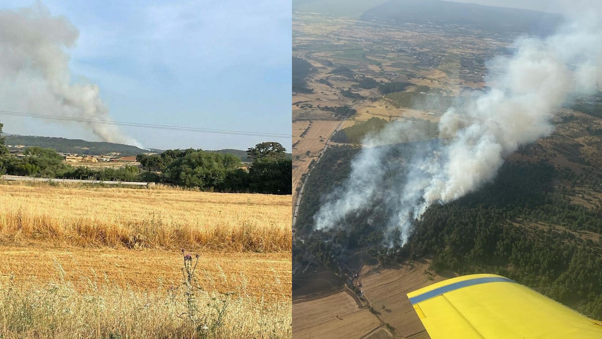 Çanakkale'de orman yangını: 5 hektar alan küle döndü