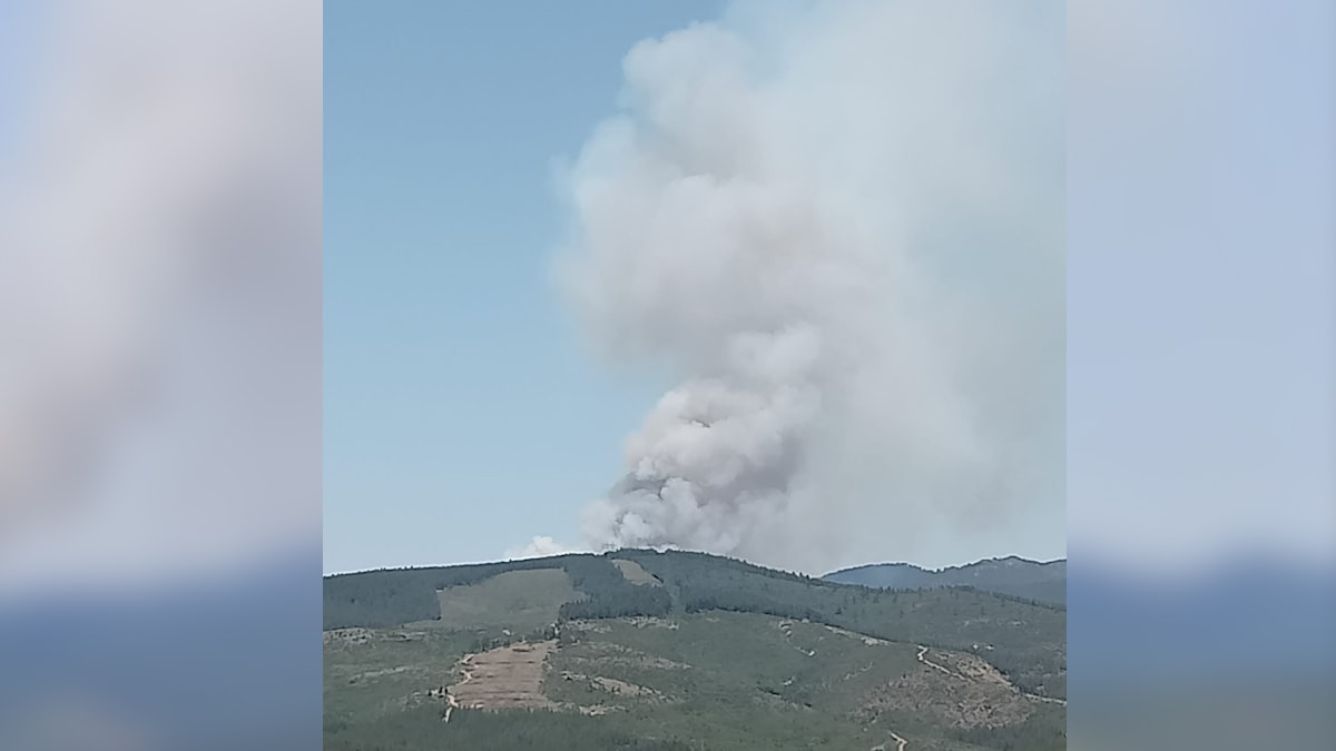 Bursa'daki orman yangını söndürüldü