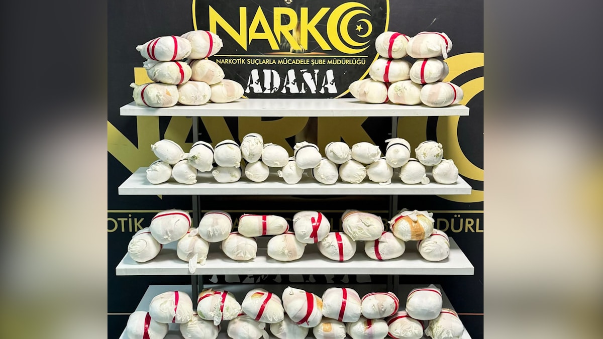 Arı kovanından uyuşturucu çıktı