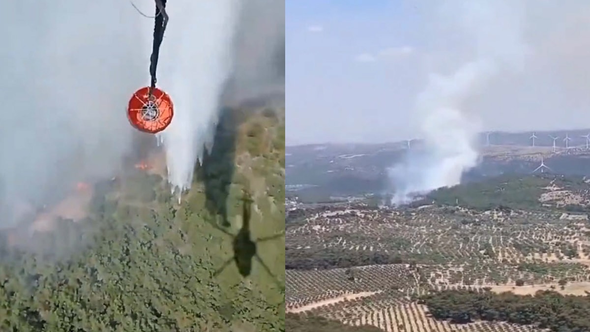 İzmir’de orman yangını!