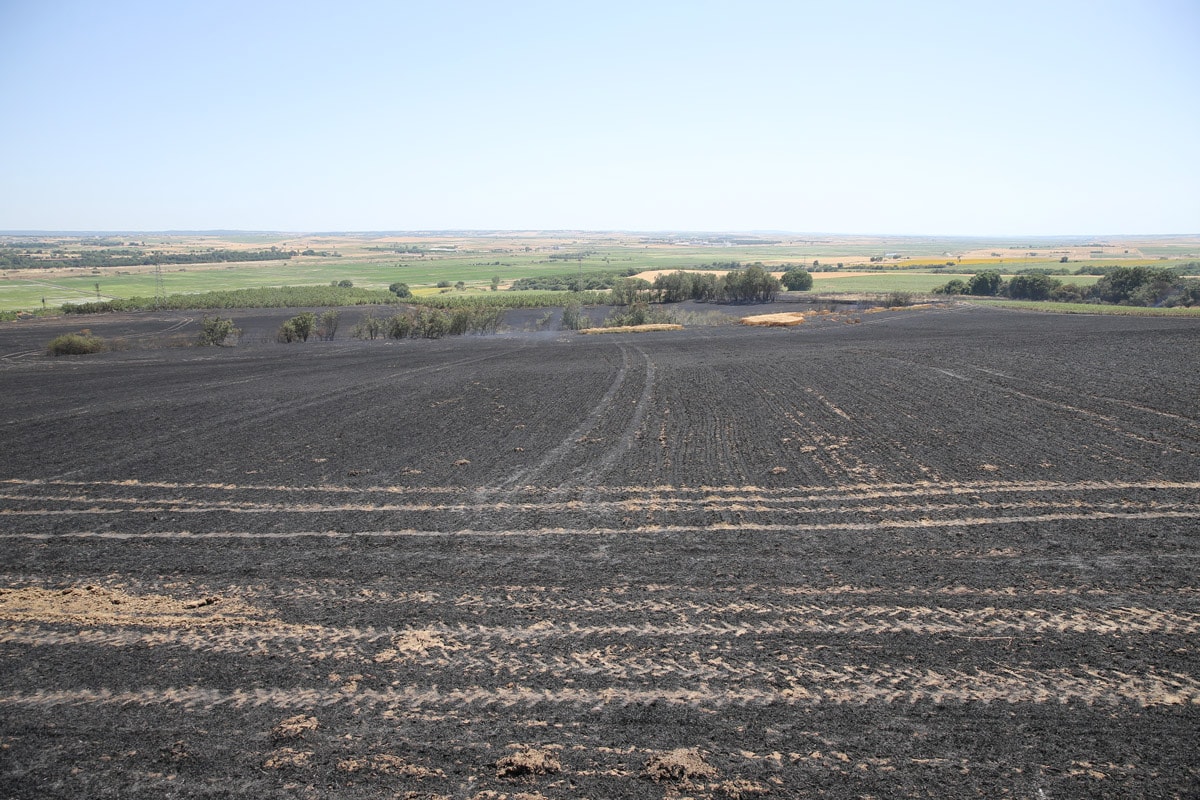 Biçerdöverin tutuşması sonucu 100 dekarlık buğday ekili alan yandı