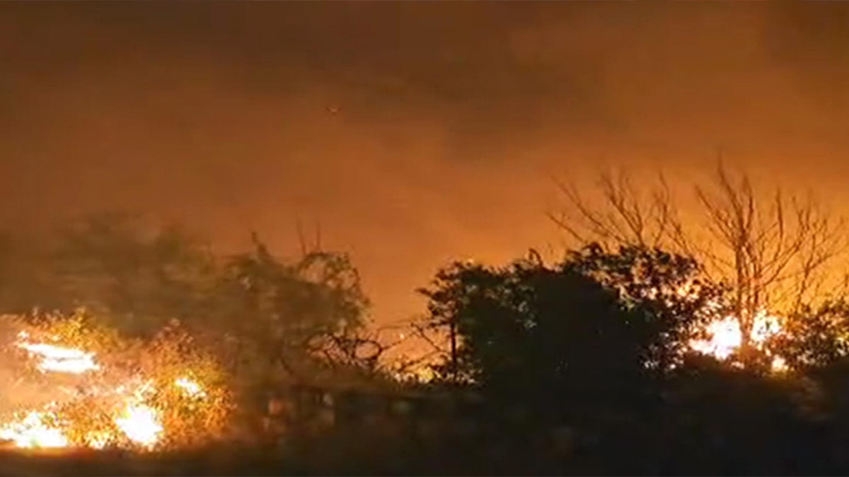 Batman ve Mardin'deki yangında 60 dönüm alan kül oldu