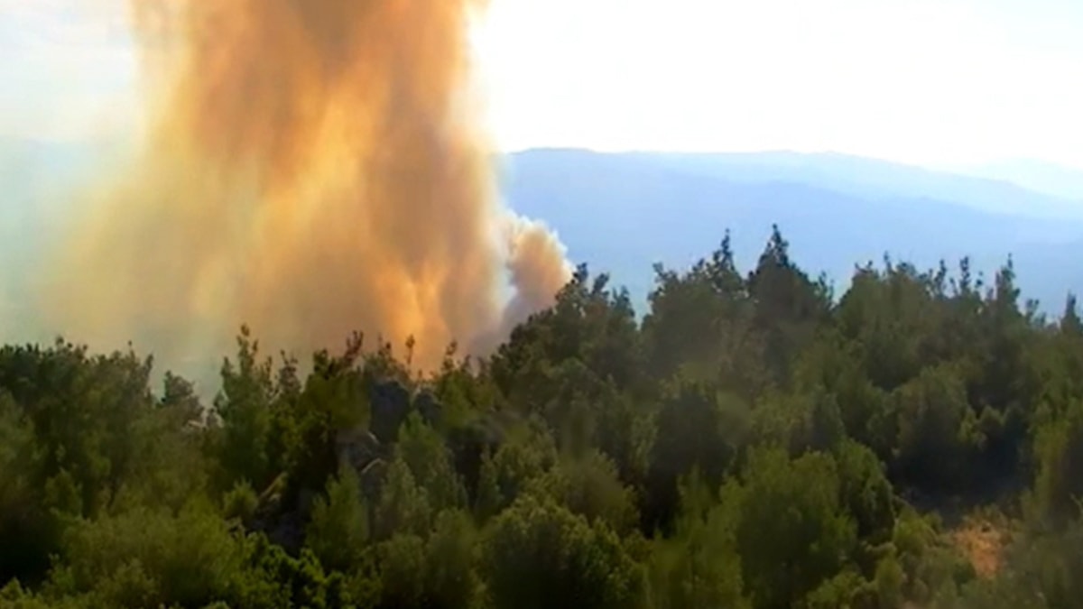 Aydın’da orman yangını: Hızla büyüdü