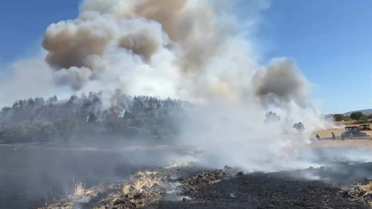 Balıkesir'de korkutan anız yangını