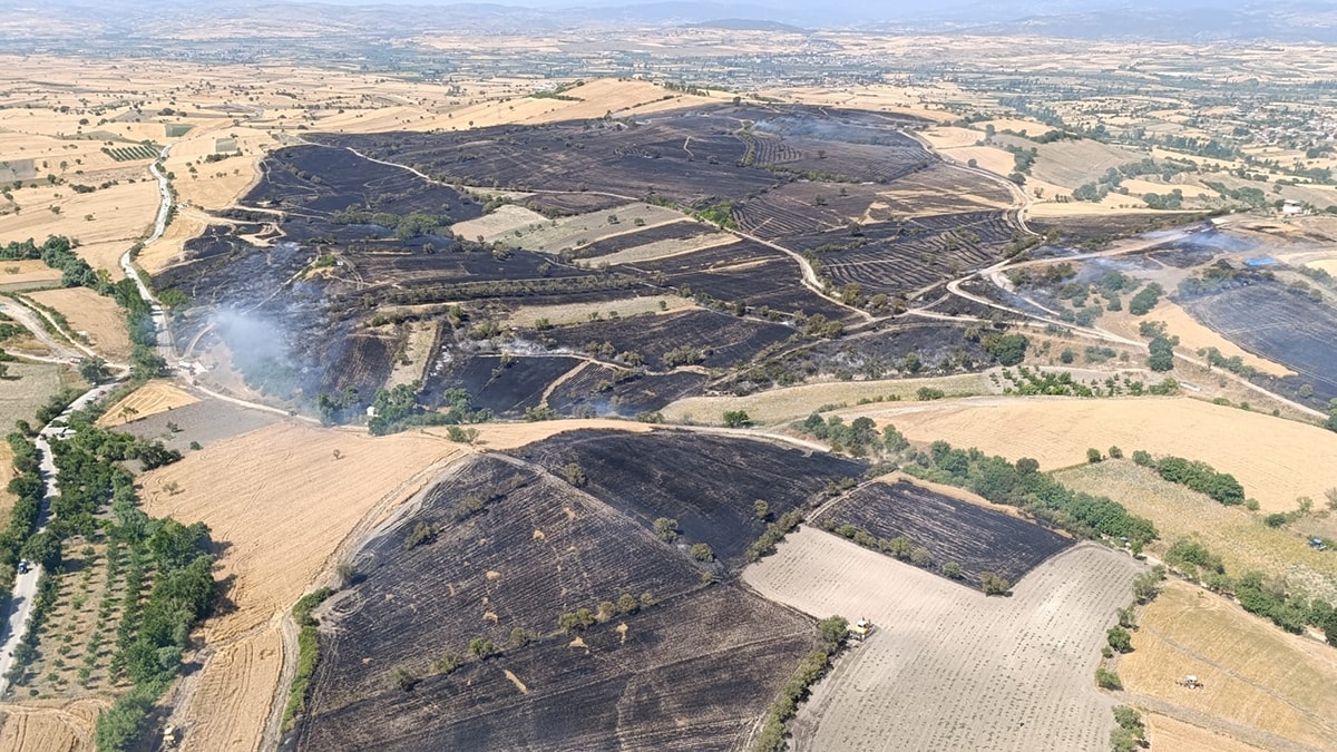 Balıkesir'deki yangın kontrol altına alındı