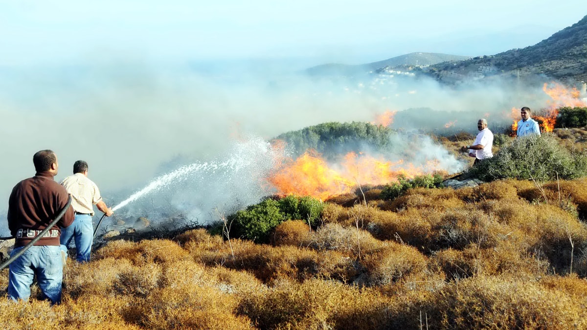 Bodrum'daki makilik yangını korkuttu