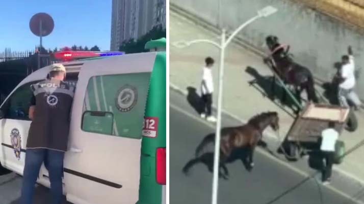 Vicdansızlığın böylesi! Ata işkenceye gözaltı