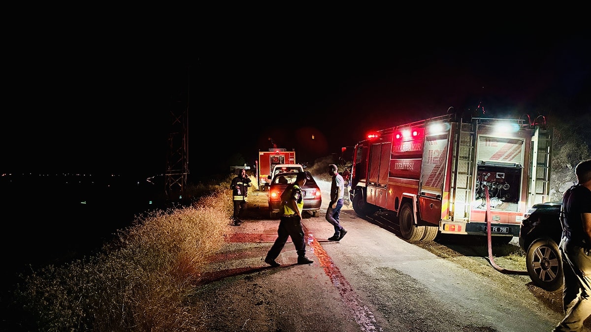 Diyarbakır'daki yangında 500 hayvan öldü