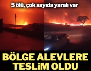 Diyarbakır'da orman yangını: 5 kişi hayatını kaybetti