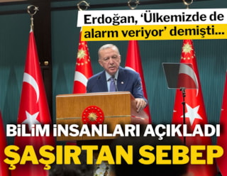 Erdoğan, "Alarm veriyor" demişti"... Bilim insanlarından dikkat çeken doğum araştırması