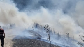 Balıkesir'in 3 ilçesinde orman yangını