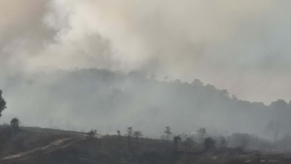 Foça'da yangın makiye sıçradı