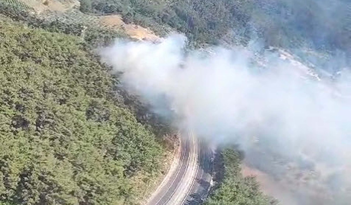 İzmir’de korkutan orman yangını!