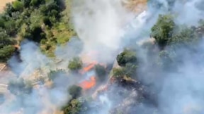 Balıkesir Kepsut'da orman yangını