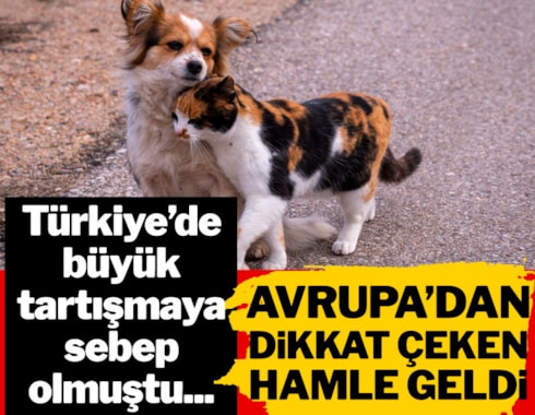 Türkiye'de tartışma başlatmıştı... Kedi ve köpekler için yasa hazırladılar