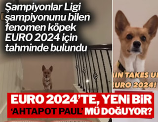 Fenomen köpek Steph Furry’nin EURO 2024 şampiyonu tahmini