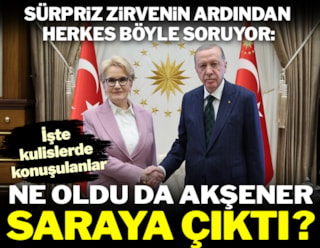 Akşener-Erdoğan görüşmesinde iddia çok, resmi açıklama yok