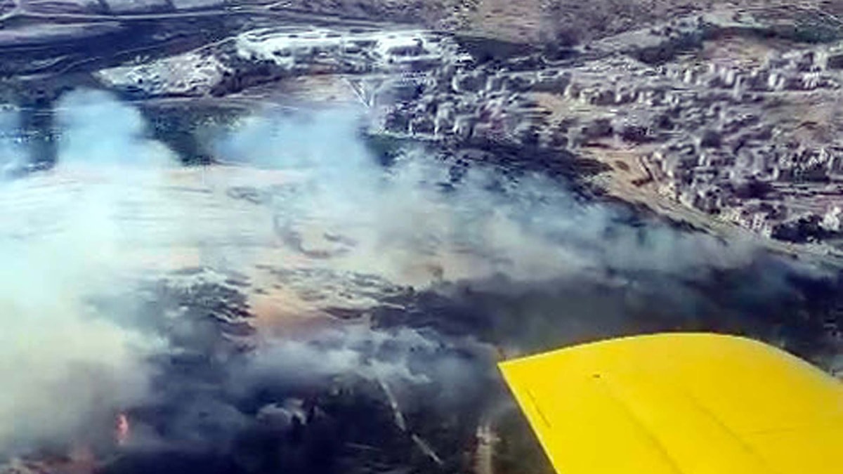 Manisa'da korkutan orman yangını