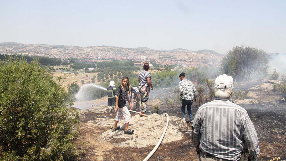 Manisa'da 3 ayrı bölgede orman yangını