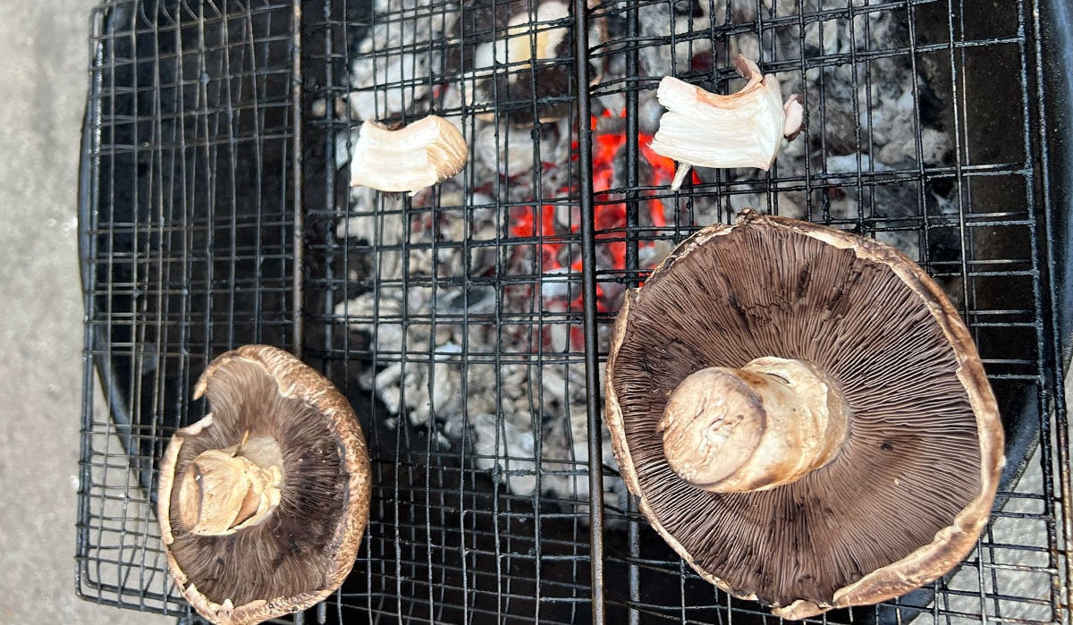 Yedikleri mantar sonları oluyordu