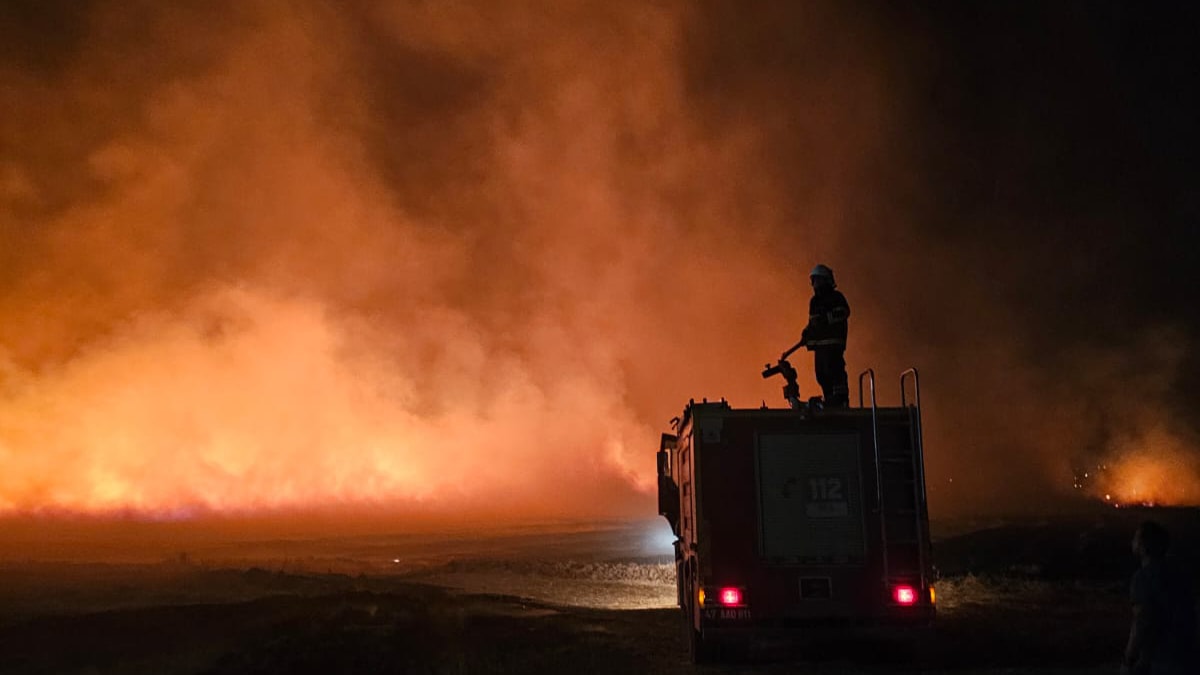 Mardin'de 5 ayrı noktada yangın