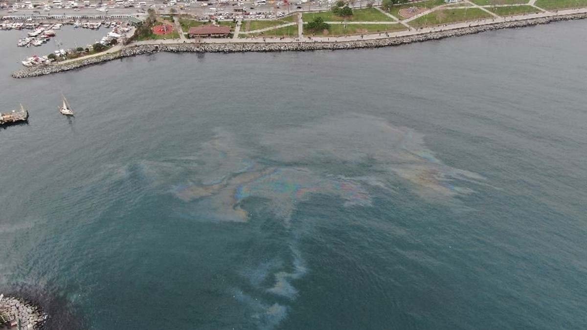 Artan kirlilik ve ısınma Marmara Denizi'ni oksijensiz bırakıyor