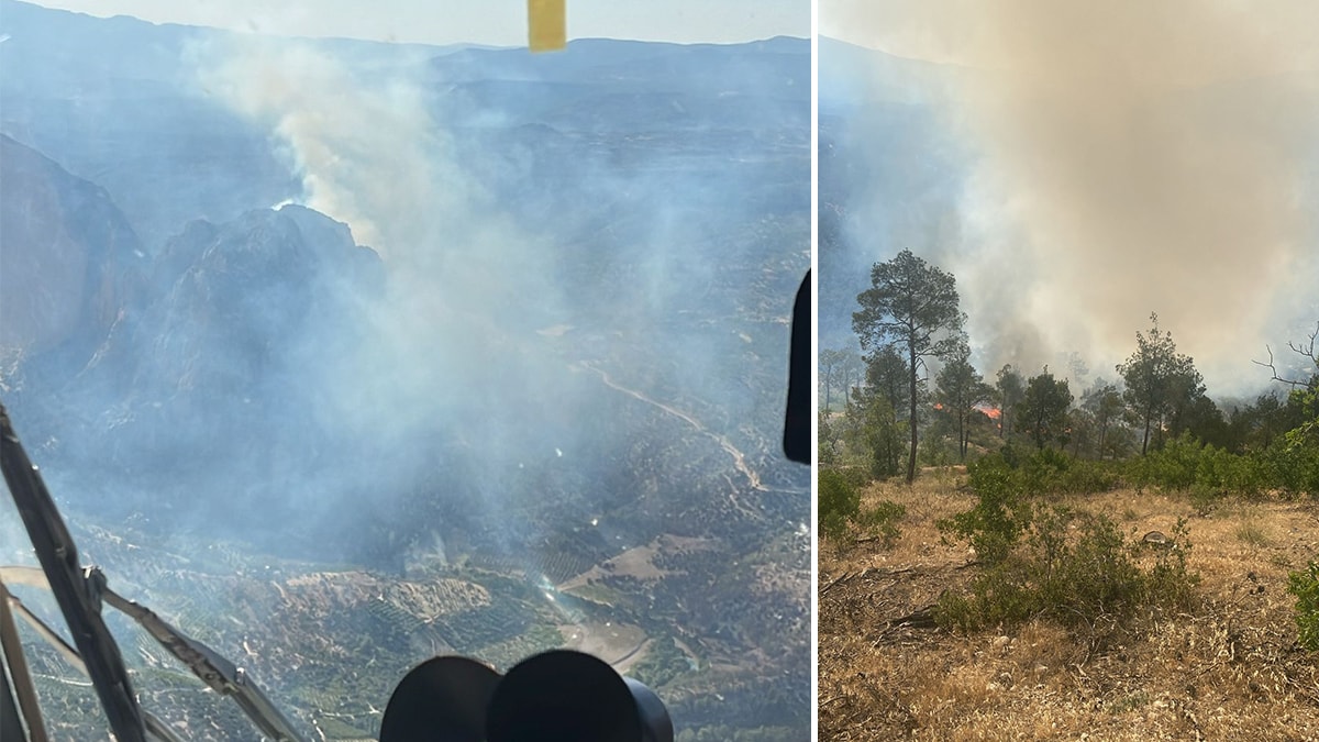 Mersin'de orman yangını