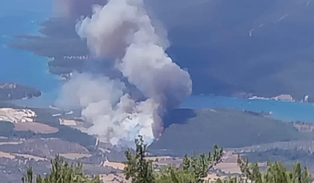 Milas'ta orman yangını! Rüzgarla hızla yayıldı