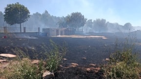 Eskişehir'de 40 dönüm alan ve 30 köpek kulübesi yandı