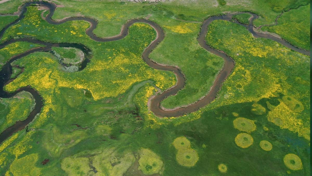 Menderesler bahar çiçekleriyle süslendi