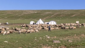 Erzurum'un karlı yaylaları göçer aileleri ağırlıyor