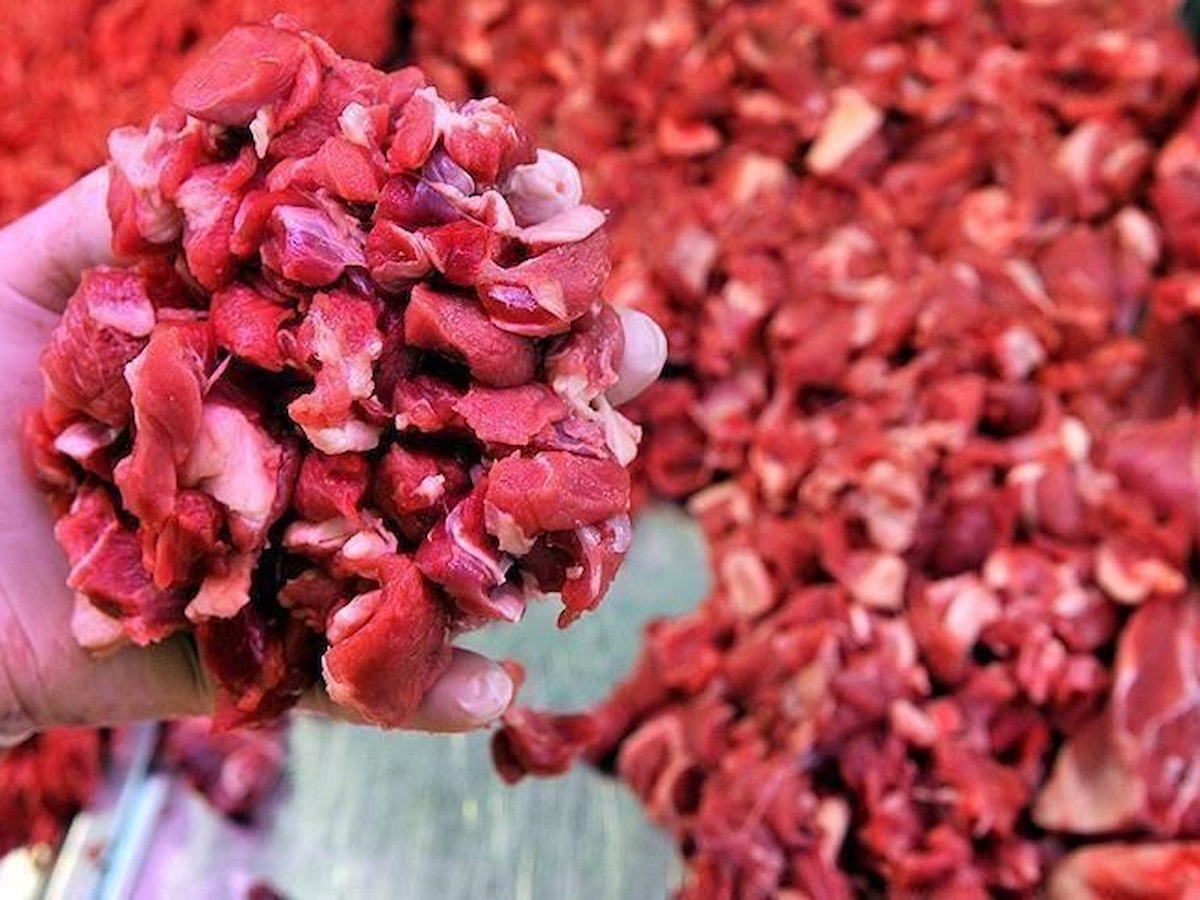 Kurban Bayramı için 'rigor mortis' uyarısı