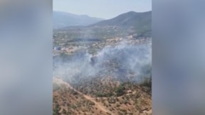 İzmir Torbalı’da orman yangını