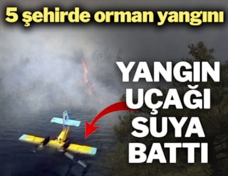5 şehirde orman yangını... THK uçağı göle battı