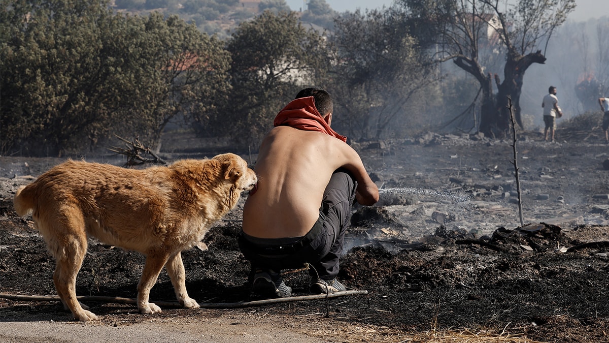 Yunanistan'da orman yangınları... Bir kişi öldü