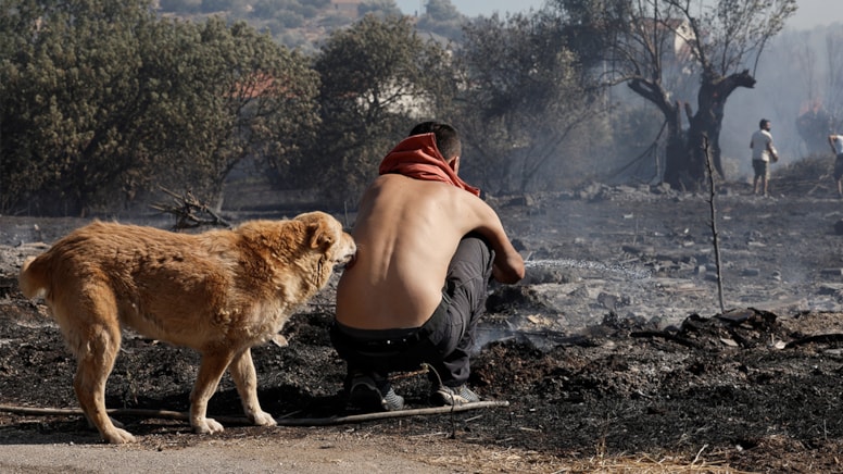 Yunanistan'da orman yangınları... Bir kişi öldü
