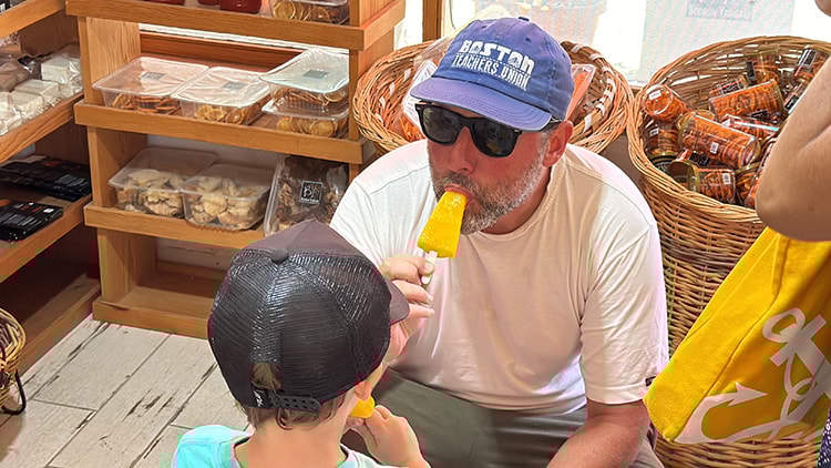 Bodrum mandalinasından sorbe dondurma yapılıyor