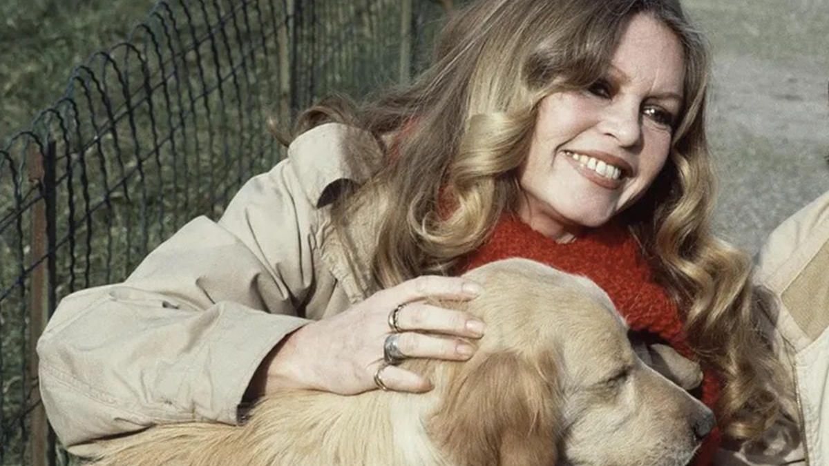 Brigitte Bardot'dan Cumhurbaşkanı Erdoğan'a çağrı