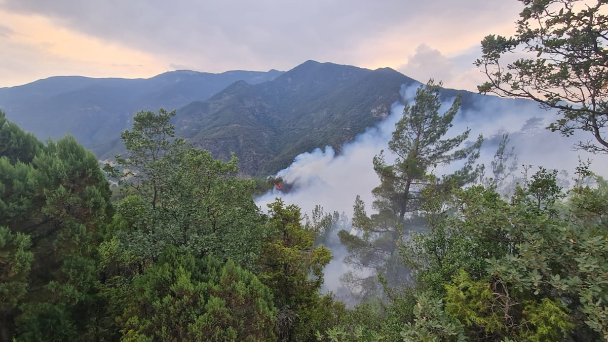 Karabük'te çıkan orman yangını kontrol altına alındı