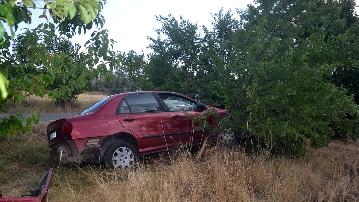 Aşık Veysel’in kızı kaza geçirdi