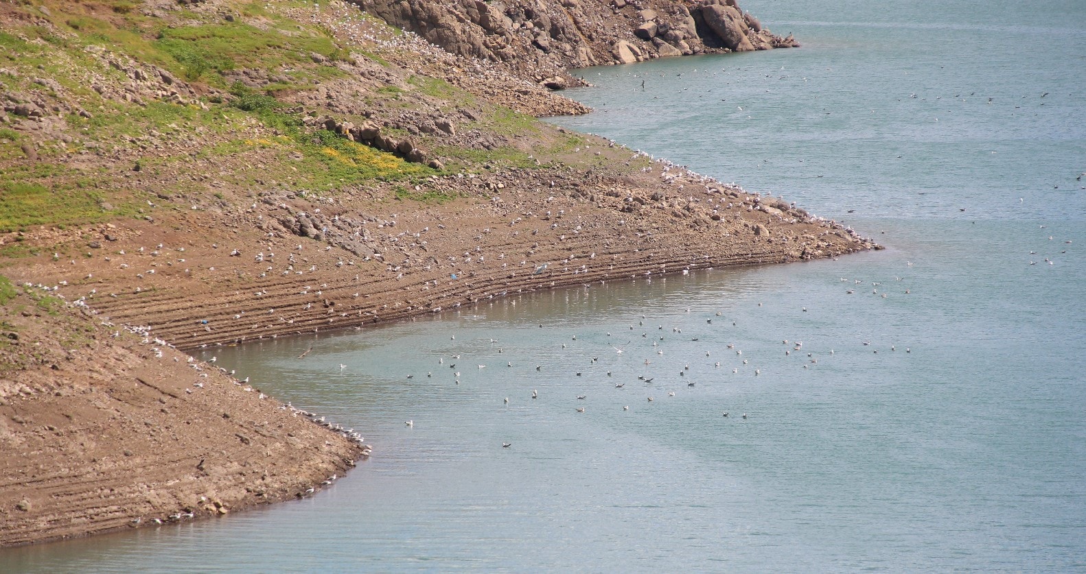 Su takviyesine rağmen barajın yarısı boş kaldı, uyarı yapıldı