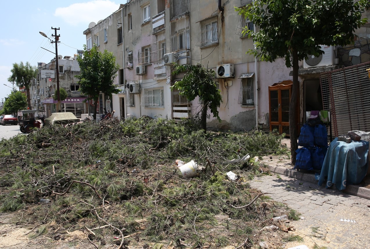 Fırtınanın boyutları ortaya çıktı... Ağaç, çocuğun yanına devrilmiş
