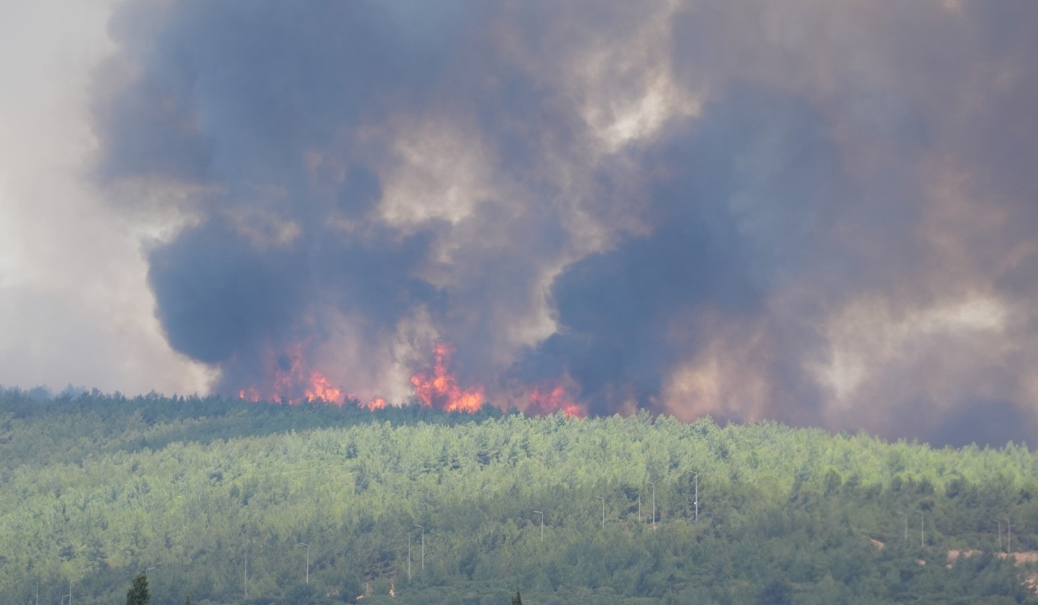 İzmir'de orman yangını: Uçak seferlerinde aksaklık yaşanıyor...