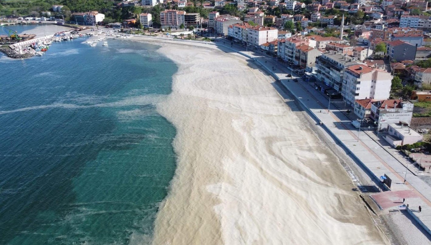 Marmara için müsilaj uyarısı: '2,5 derece arttı, tetiklenecek'