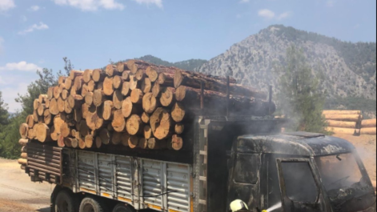 Tomruk yüklü kamyonda çıkan yangın söndürüldü